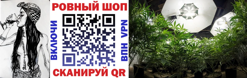 Наркошоп купить Лсд 25  COCAIN  ГАШИШ  Метадон  Марихуана  Мефедрон  A-PVP  Дигора