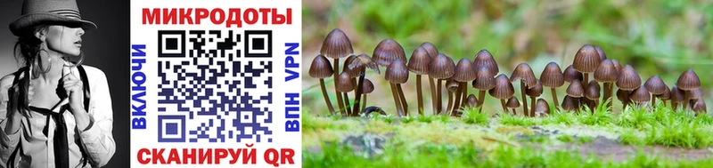 Псилоцибиновые грибы прущие грибы  Купить закладки  Дигора 